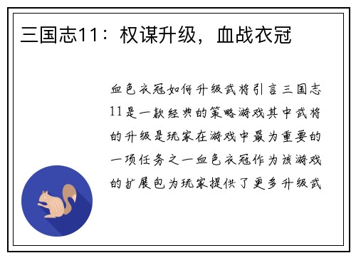三国志11：权谋升级，血战衣冠