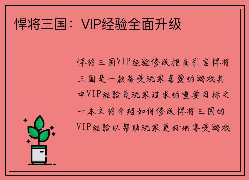 悍将三国：VIP经验全面升级